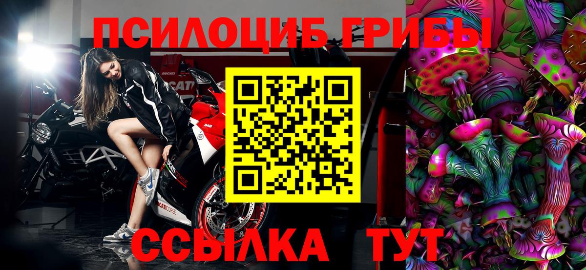 Псилоцибиновые грибы Cubensis  Псилоцибиновые грибы Magic Shrooms  Вход с VPN  Кудрово 